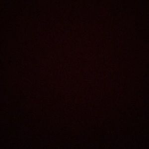 Meet your Posher, Eryn